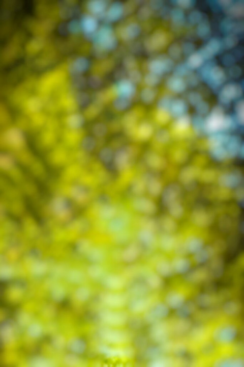 Nature CB Photo Editing Background For Picsart HD