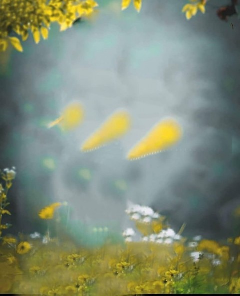 Nature Cb Photo Editing Background Full HD
