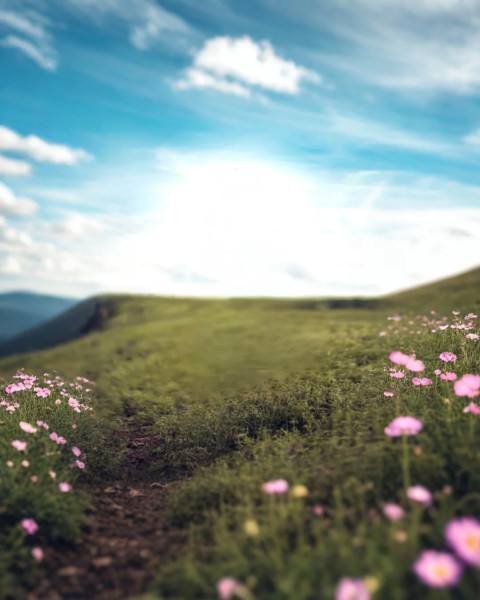 Nature Colorful Photoshop Editing Blue Sky Background