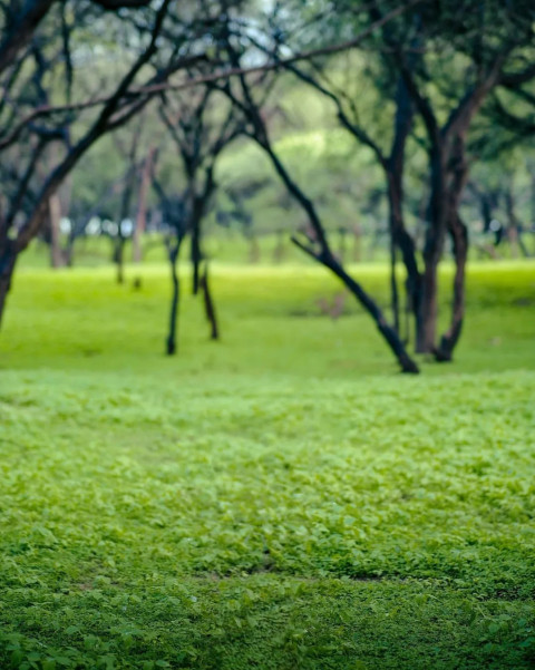 Nature Cool Background For Picsart Stock Image