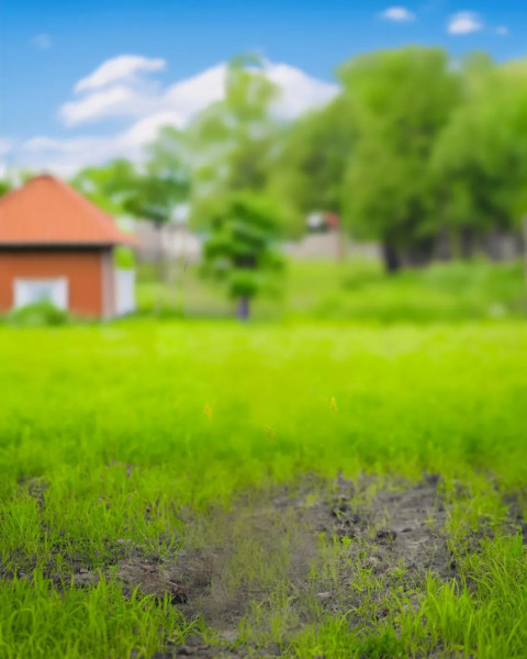 Nature Cool Blur CB Background For Picsart Stock Images