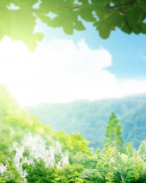 Nature Flowers CB Blur Background For Photoshop Editing Free