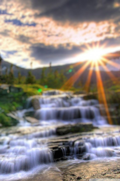 Nature Forest Dslr Blur CB Photo Editing Background HD New