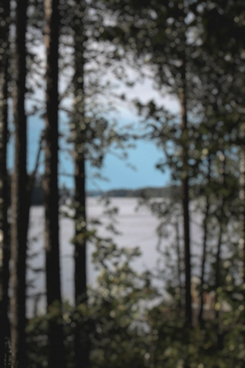 Nature Forest Dslr Blur CB Photo Editing Background HD Pics