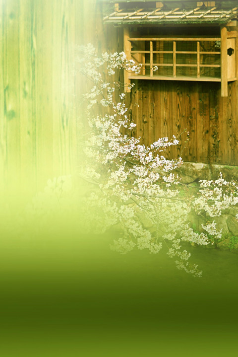 Nature Indoor Backdrop Wallpaper Download New