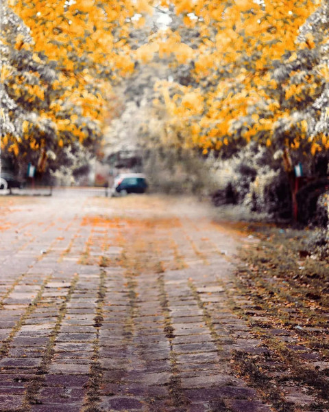 Nature New Instagram CB Viral Wallpapers Edit Background