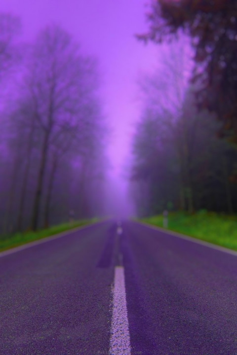 Nature Photo Editing Background download
