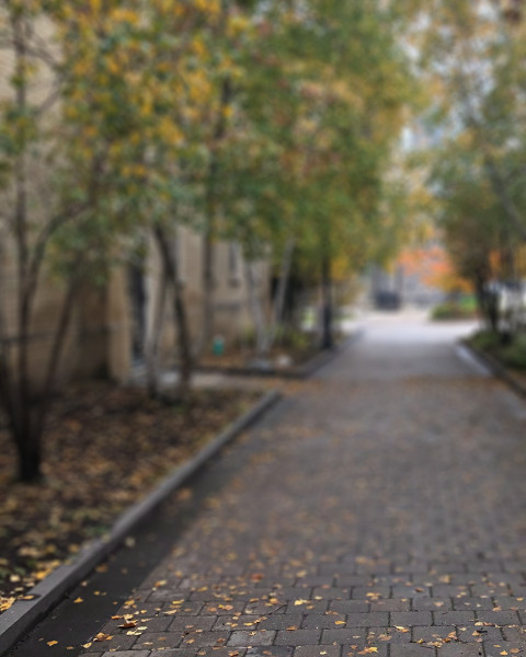 Nature Photo Editing Blur CB Picsart Background  Free