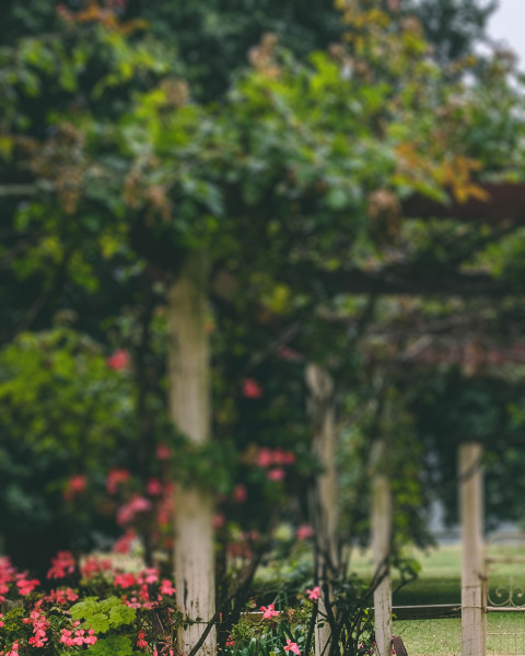 Nature Photo Editing Blur CB Picsart Background  HD