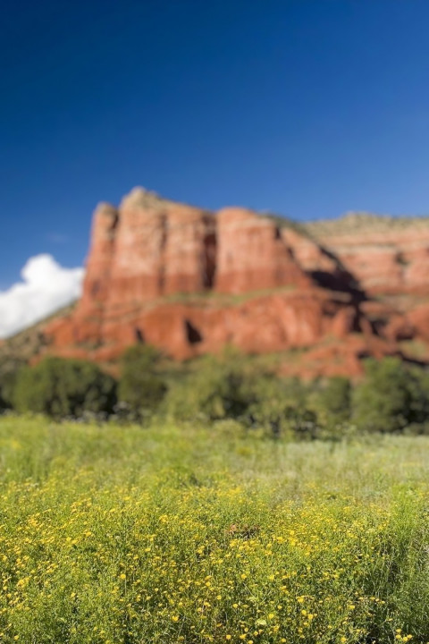 Nature Photoshop Dslr Editing Background Download