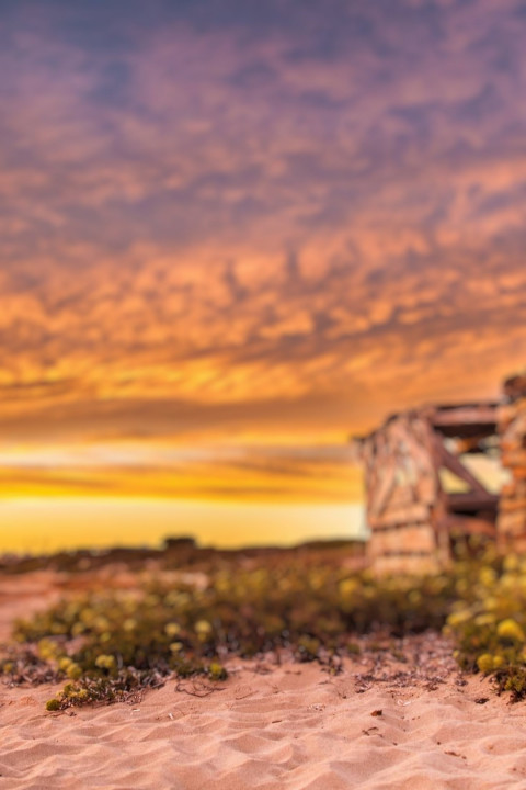 Nature Photoshop Dslr Editing Background Download Images