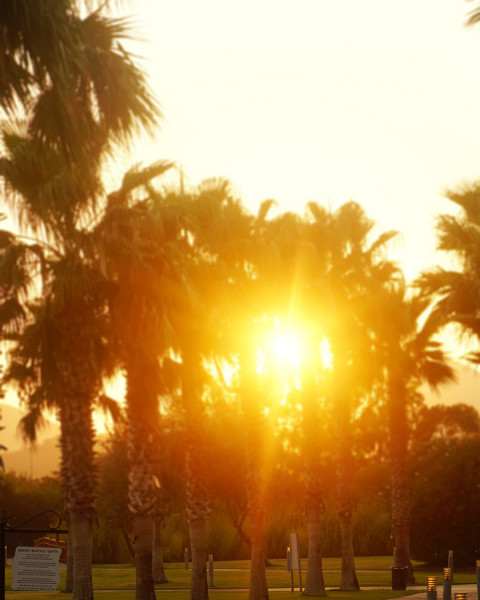 Nature Photoshop Editing Background Download