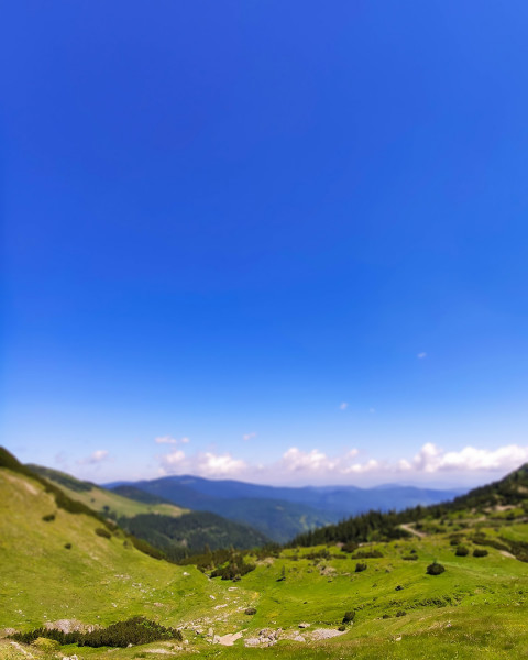 Nature Photoshop Editing Background Download Pics
