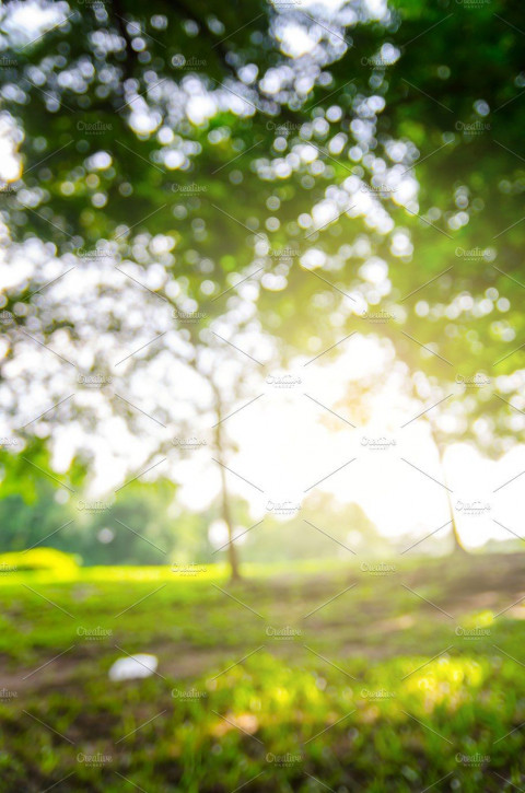 Nature Photoshop Photo Editing CB Background Download New