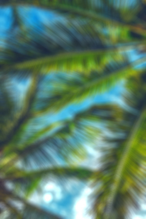 Nature Photoshop Photo Editing CB Background
