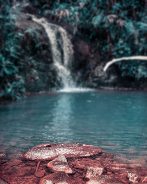 Nature Picsart Background For Photo Editing