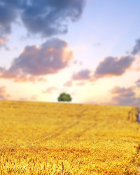 Nature Sky Photo Editing Background Download Free