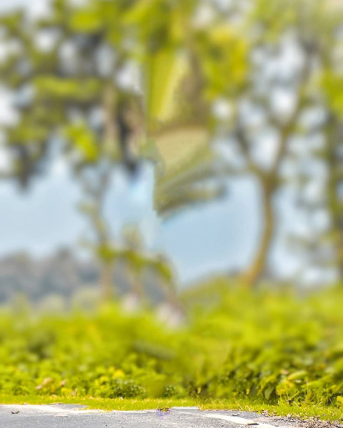 Nature Snapseed Background For Picsart Editing
