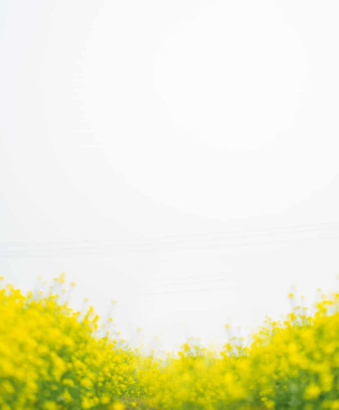 Nature Sunet Picsart Free Editor Background HD Photos