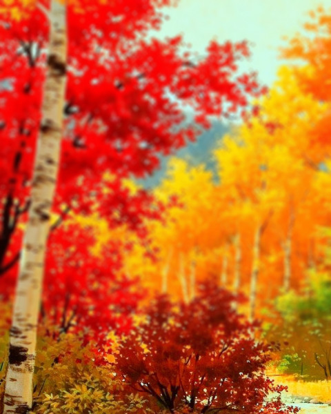 Nature Sunset CB Photo Editing Background Photoshop Full HD