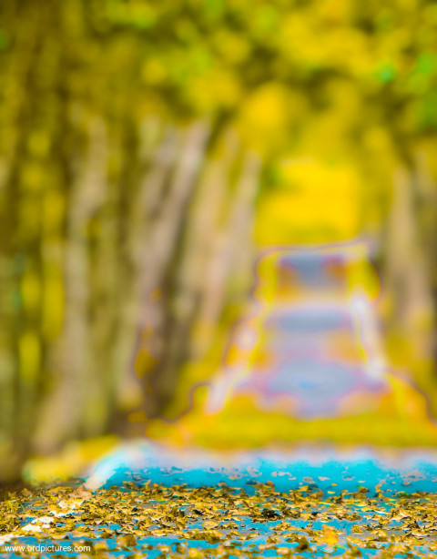 Nature Trending Picsart Photo Editing Backgroud