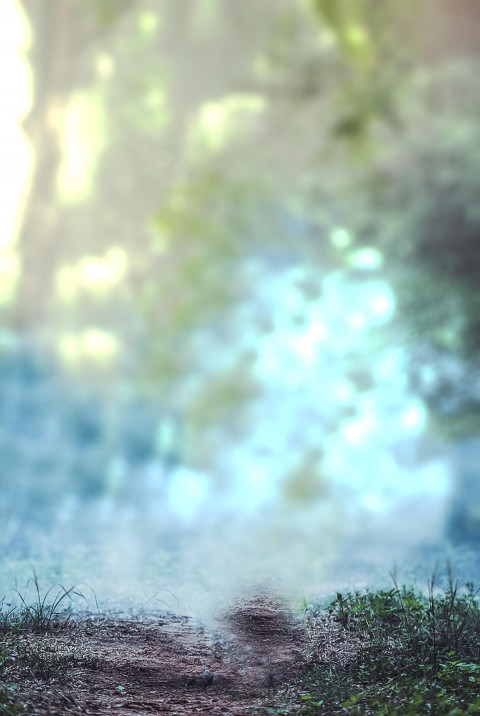 New Photoshop Nature CB Blur Background Download Free New