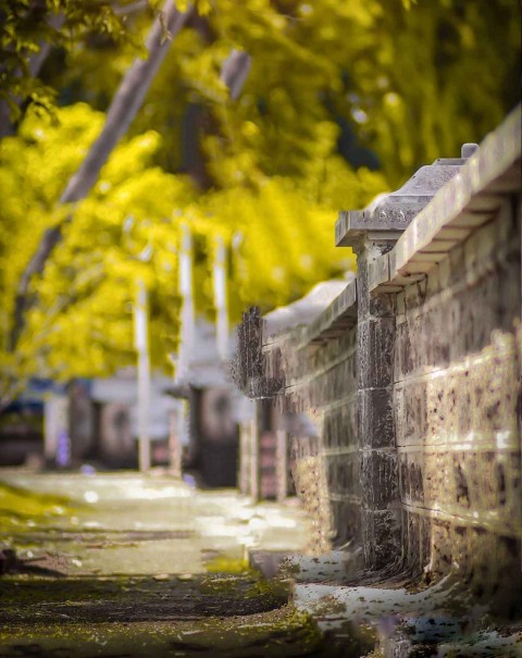 New Snapseed Background Full HD (Blurred)