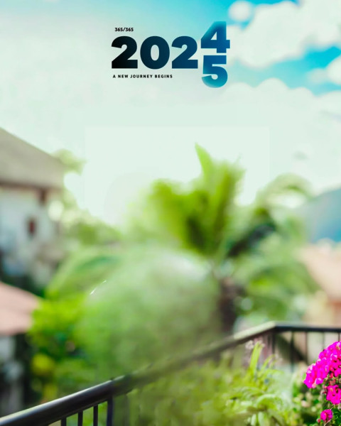 New Year 2025 Nature Edit Background For Photoshop Photo