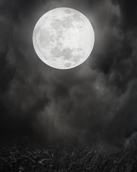 Night Moon Photo Editing Background For CB PicsArt