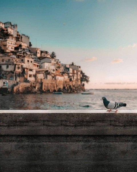 Peasion Picsart Editing Background HD