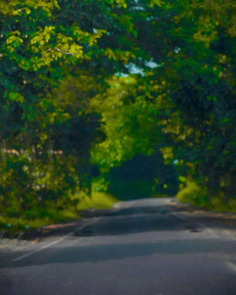 Photo Editing Blur Dark Tree Background