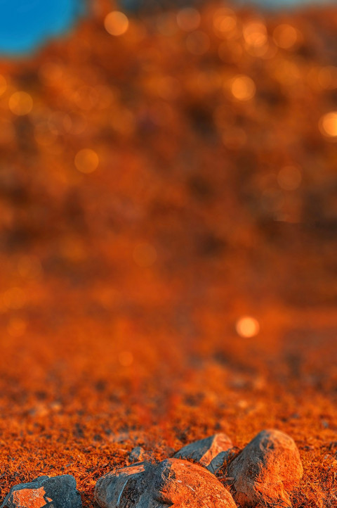 Photoshop Blur CB Background HD For Rd Debu Editing