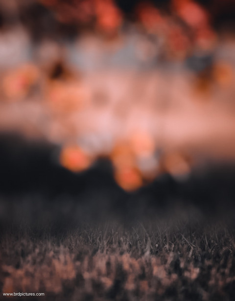 Photoshop Blur Editing Background Download Pic