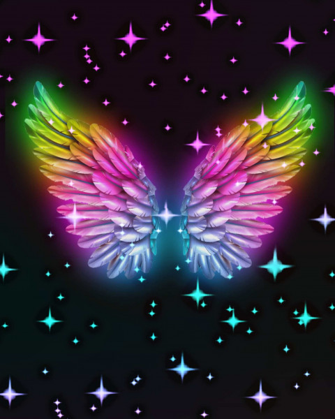 Photoshop Butterflay CB Editing Full HD Background