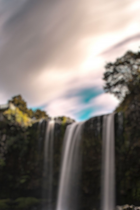 Photoshop CB Forest Blur Background Download