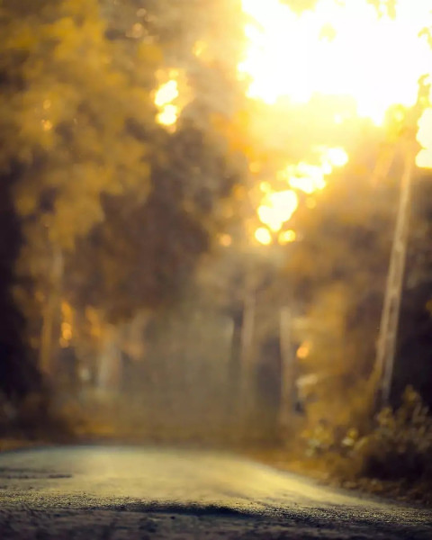 Photoshop Editor Blur Background Images Hd Pictures