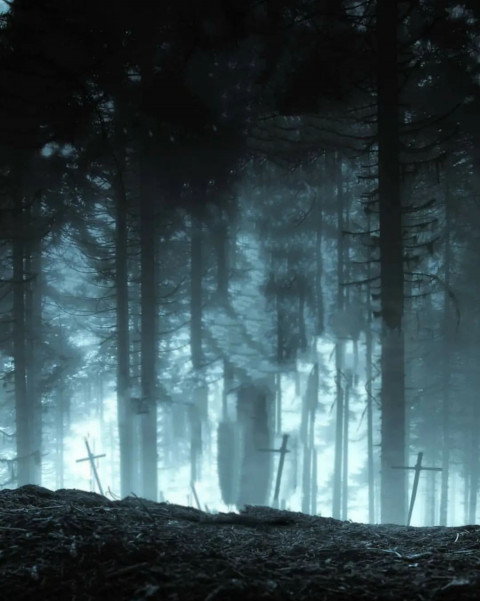 Photoshop Forest New Background HD For Picsart Editing