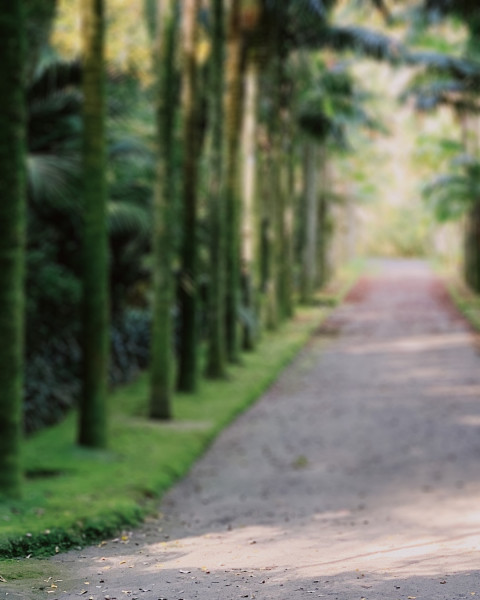 Photoshop Garden Photo Editing CB Background Full HD