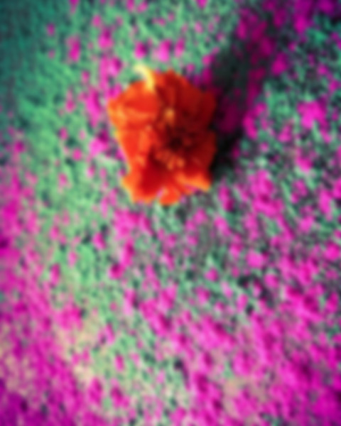 Photoshop Holi Colour Editing Background HD Download Pic