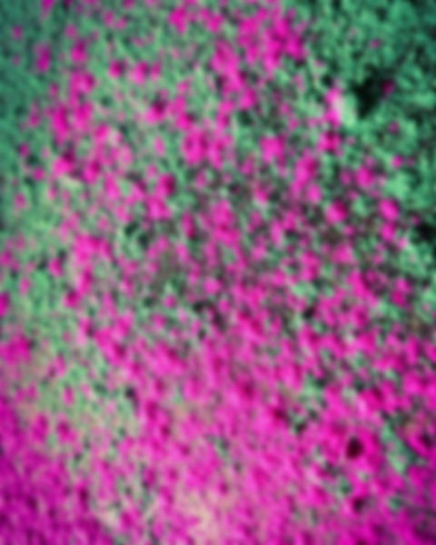 Photoshop Holi Colour Editing Background HD Download Pics