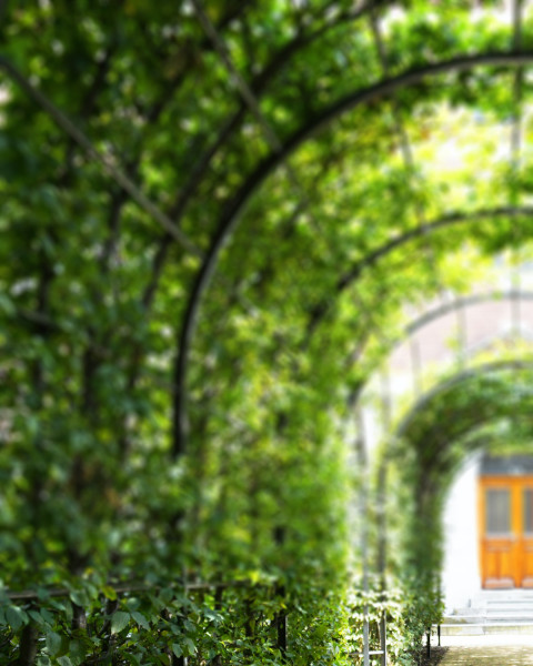Photoshop Nature Photo Editing Garden Background  Full HD