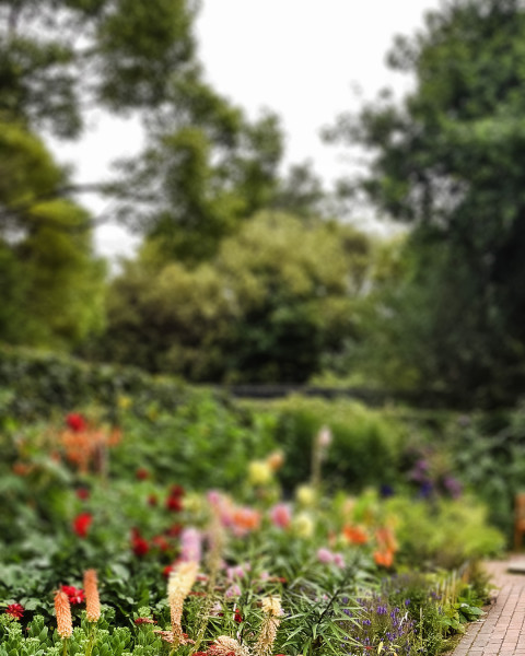 Photoshop Nature Photo Editing Garden Background  HD