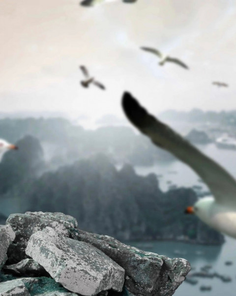 Photoshop Photo editing Background Download Free Full HD