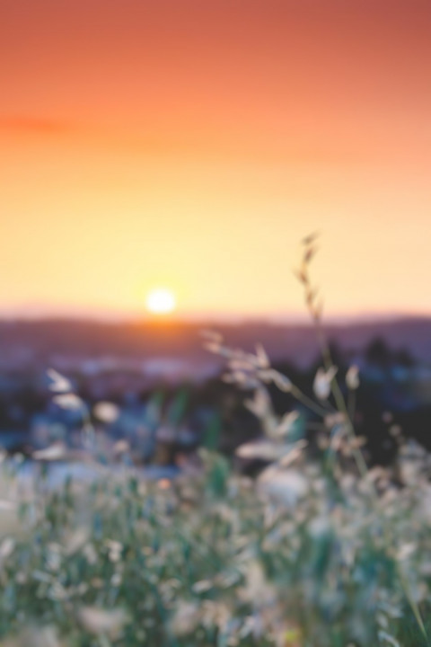 Photoshop Sunlight Cb Blur BAckground Download Free New