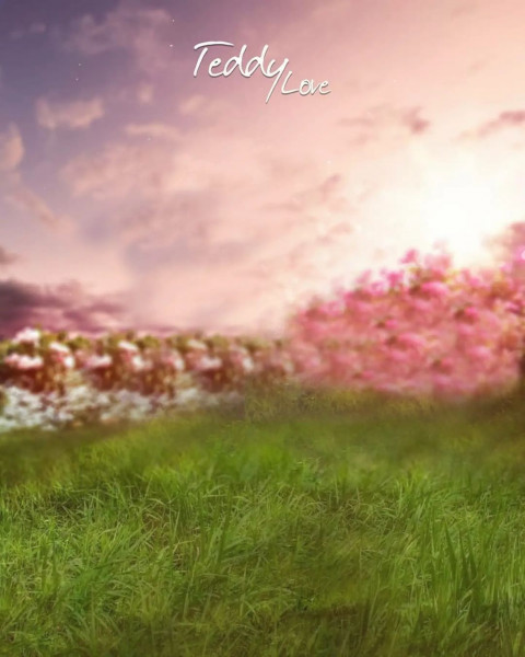 Picsart Background Download For Photo Editing HD