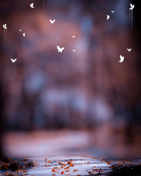 PicsArt CB Birds Background Full HD Download For Editing