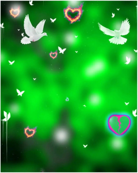 PicsArt HD Birds Background Download For CB Editing