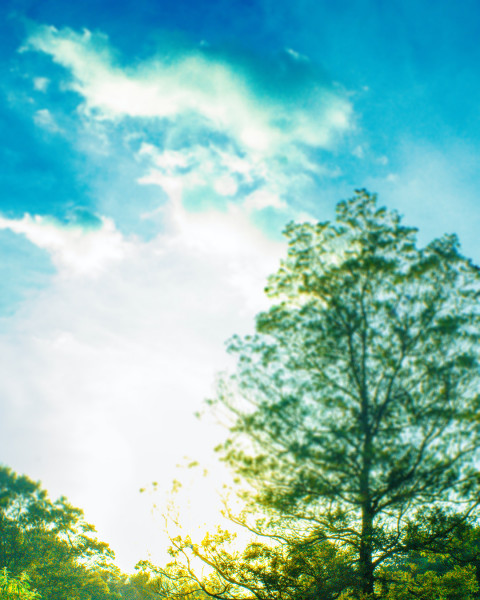 Picsart Nature Sky Background For Photoshop Editing New