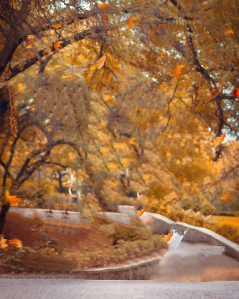 Picsart Photo Editing Cb Background
