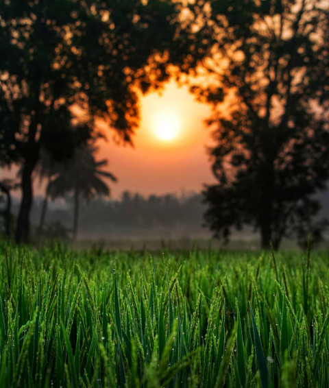 Sunlight Picsart Viral Photo Editing Background Full HD